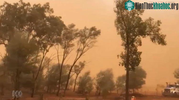 Bão bụi màu cam quét qua thị trấn Charleville.