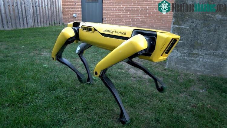 Robot SpotMini 4 chân nay đã trở lại và... ga-lăng hơn xưa nhiều.