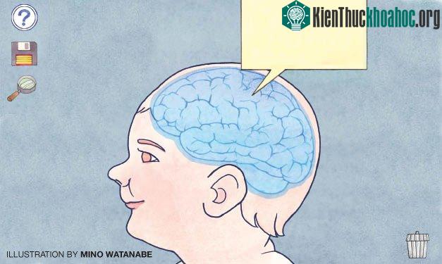 Thông thường một người trưởng thành chỉ nhớ được một số ít kỷ niệm có được từ lúc 3 - 7 tuổi.