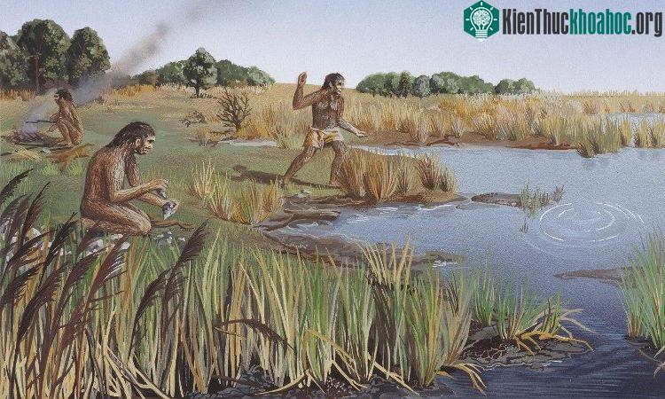 Người đứng thẳng sống cách đây 1,8 triệu năm có phải sở hữu ngôn ngữ đầu tiên
