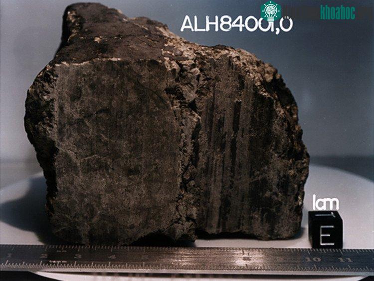 Thiên thạch ALH84001.