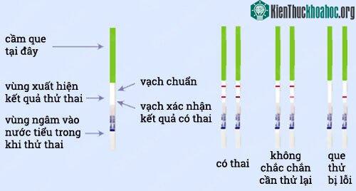 Kết quả thử thai