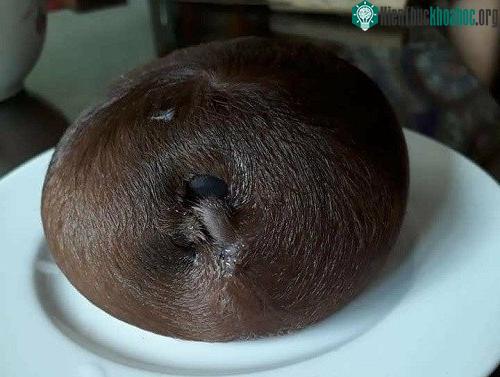 Hình ảnh "vật thể lạ" được sinh ra từ con bò.