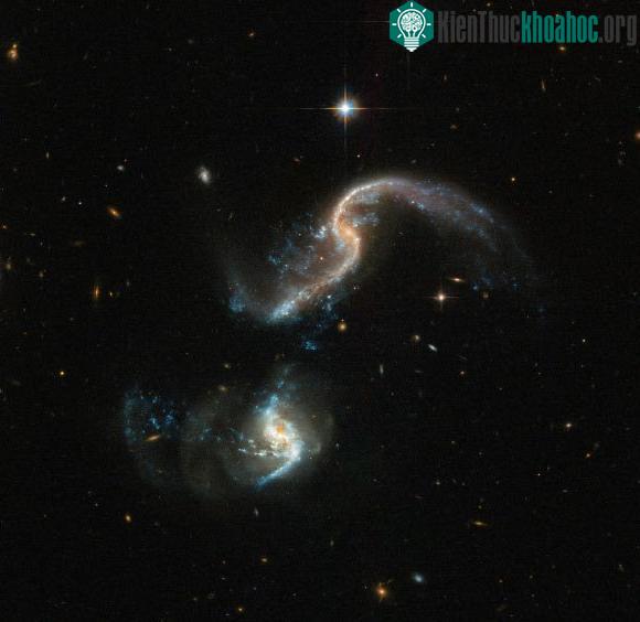 Hình ảnh vụ va chạm Arp 256 trong chòm sao Kình Ngư. (Ảnh: NASA).