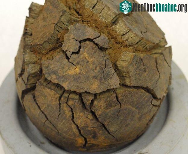 Đạn súng thần công bị nứt và ăn mòn nếu tiếp xúc với không khí - (Ảnh từ The Mary Rose Trust).