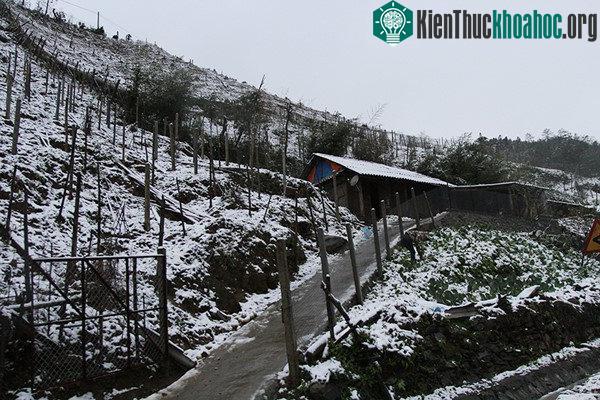 Rét đậm, rét hại trải rộng từ các tỉnh Bắc Bộ đến Bắc Trung Bộ, vùng núi cao có băng giá.