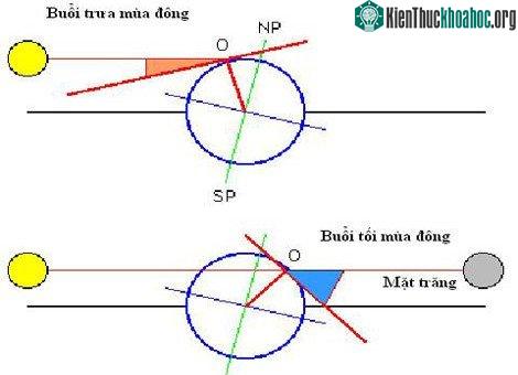 Nhiệt độ trong một ngày mùa đông cũng có sự khác biệt.
