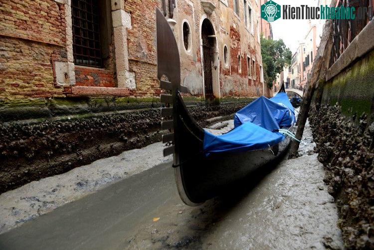Thuyền nằm trơ trọi trên lớp bùn ẩm ở đáy kênh đào Venice.