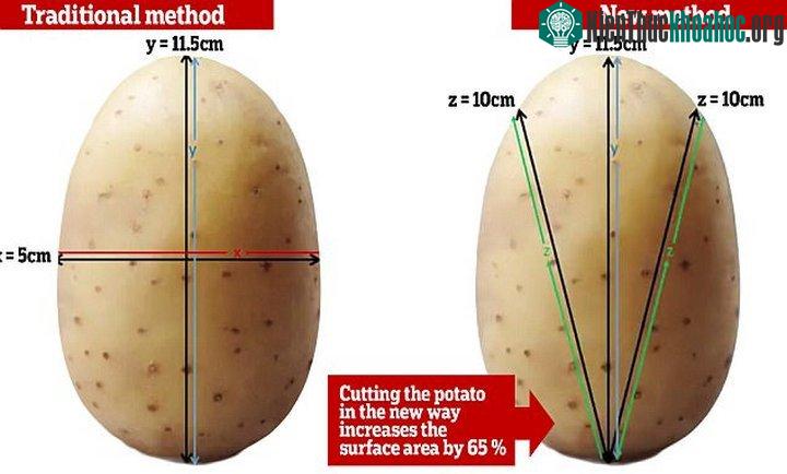 Cắt theo phương pháp mới giúp tăng diện tích tiếp xúc giữa khoai tây và dầu chiên.