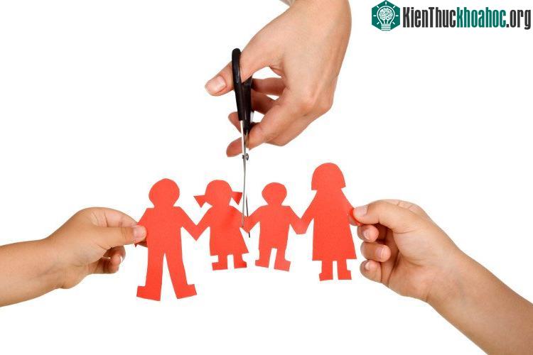 Nếu một trong các anh/chị/em ruột ly dị thì những người còn lại cũng sở hữu 20% khả năng sẽ ly dị trong tương lai.