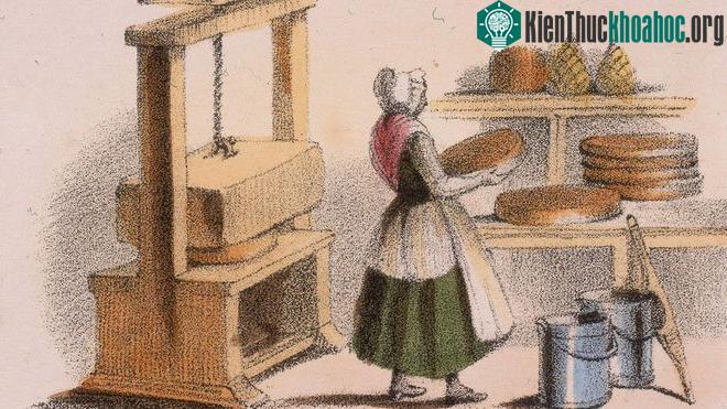 Giả thuyết thứ hai về màu sắc của phomai