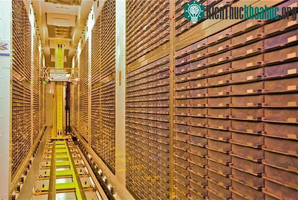 Ngân hàng sinh học lớn nhất thế giới tại Anh hiện nay