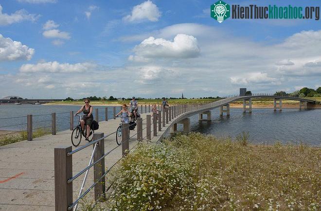 Cầu Zalige bắc qua sông Waal chảy dọc thành phố 2000 năm tuổi Nijmegen.