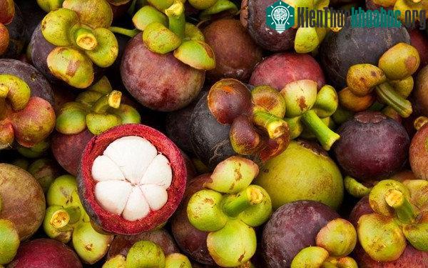 Quả măng cụt chứa hàm lượng xanthone cao nhất, có tác dụng chống viêm và vi khuẩn.