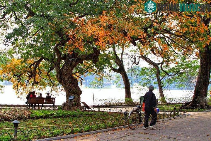 Hồ Gươm đẹp quyến rũ mùa lộc vừng thay lá ảnh 2