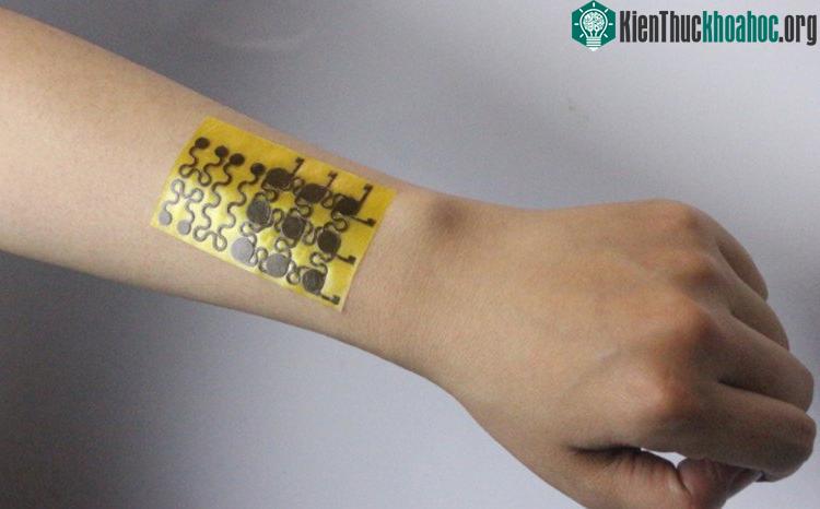 Loại da này mềm nhưng không đàn hồi như da người.