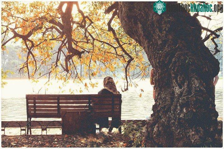 Hồ Gươm đẹp quyến rũ mùa lộc vừng thay lá ảnh 3