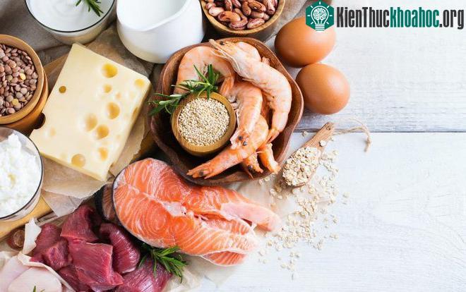 Các nghiên cứu đã chỉ ra rằng bổ sung protein làm tăng mật độ xương.