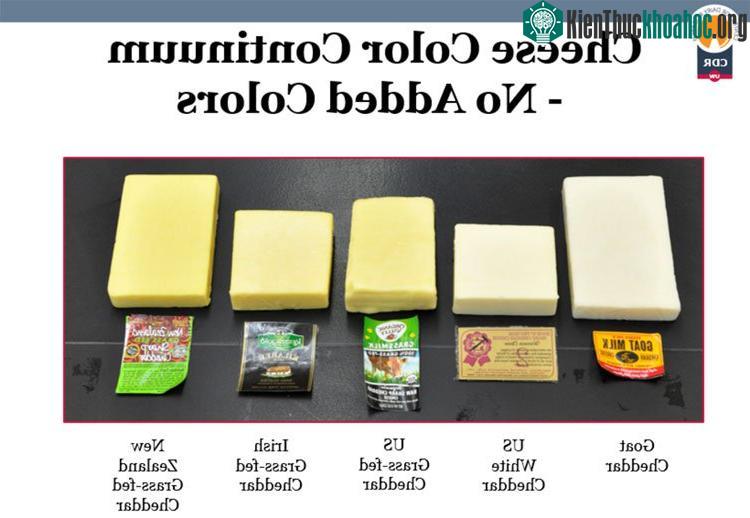 So sánh màu tự nhiên của các loại phô mai.