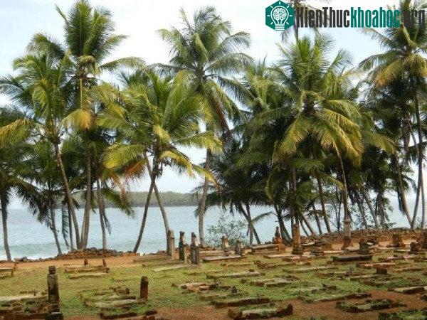 Đảo Quỷ - "địa ngục trần gian" với 70.000 người đến nhưng chỉ 2 người trở về ảnh 4