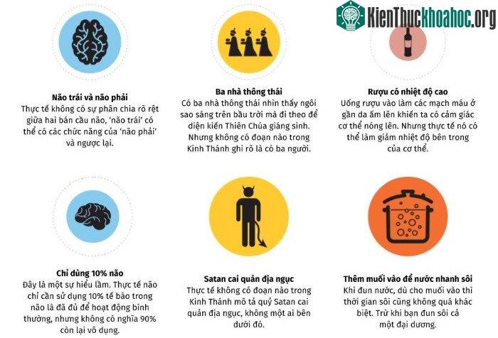 Thực tế, không có sự phân chia rõ ràng nào giữa bán cầu não trái và não phải.