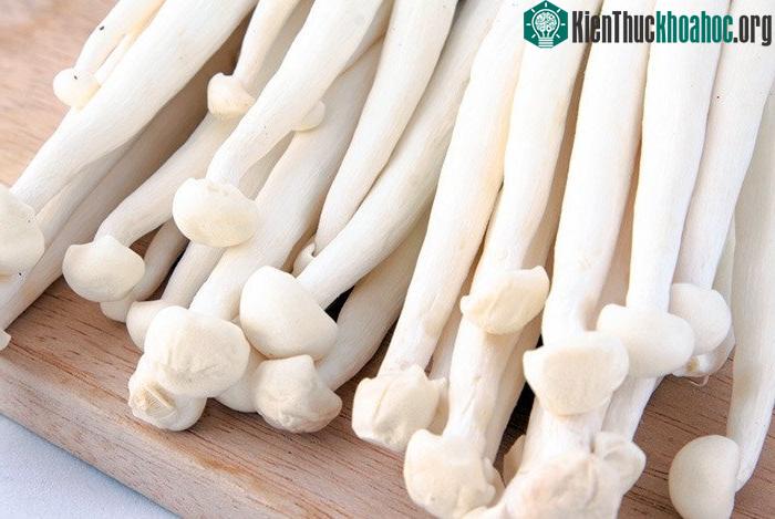 Nấm hải sản