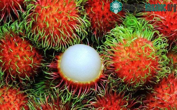 Chôm Chôm rất giàu vitamin C, đồng, mangan...