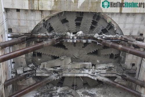 Bertha