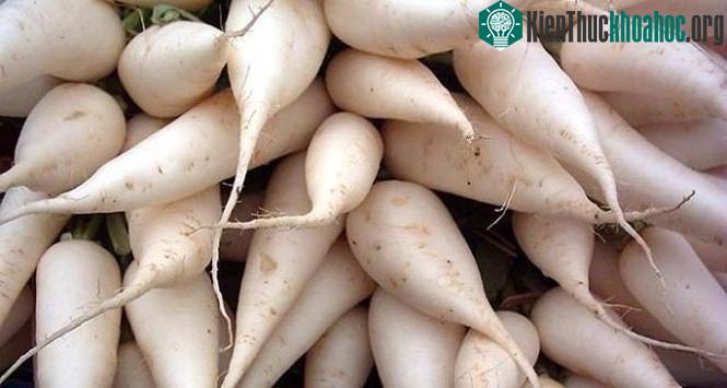 Củ cải chứa chất phytochemical và anthocyanins có tính chất chống ung thư.