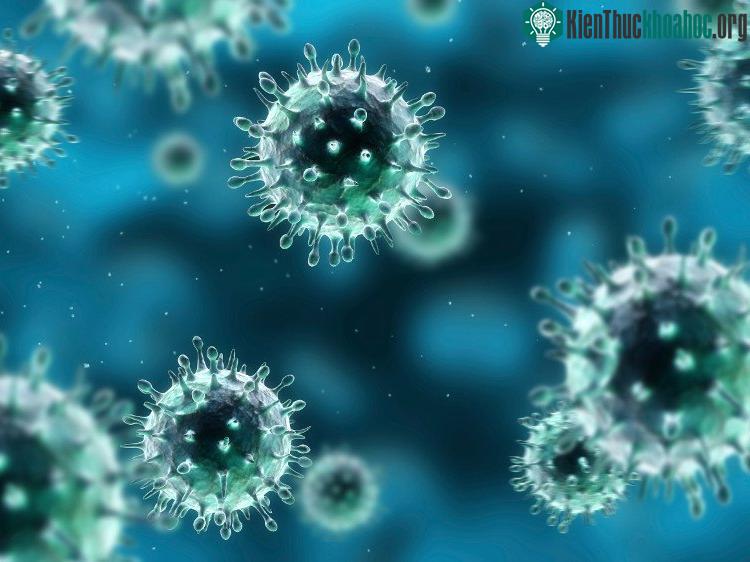 Virus EBV. (Ảnh: msra).