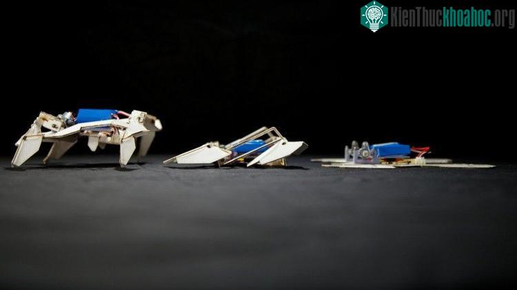 Robot triển khai từ trạng thái phẳng.