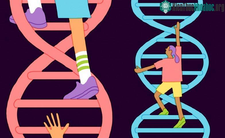 Các dự đoán trí thông minh căn cứ vào DNA có độ chính xác không cao. (Ảnh: TECHNOLOGYREVIEW).