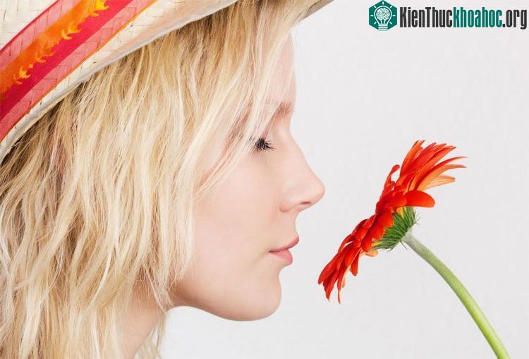 Giác quan phát triển sớm nhất