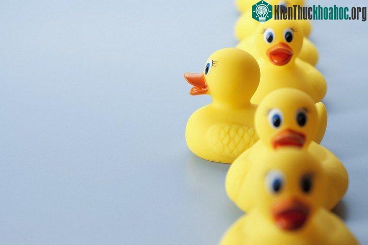Bất kỳ loại đồ chơi cao su nào thả vào trong bồn tắm đều tiềm ẩn nguy cơ chứa các loại vi khuẩn.