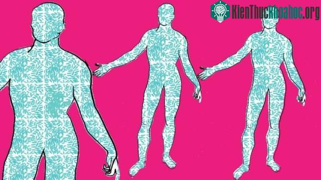 Hơn phân nửa cơ thể của bạn không phải là con người!