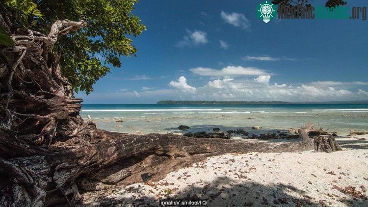 Quần đảo Andaman và Nicobar của Ấn Độ gồm 572 hòn đảo nhiệt đới.