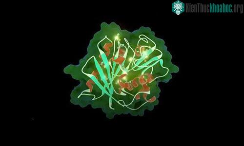 Enzyme đột biến có thể phân hủy nhựa trong vài ngày. (Ảnh: CGTN).