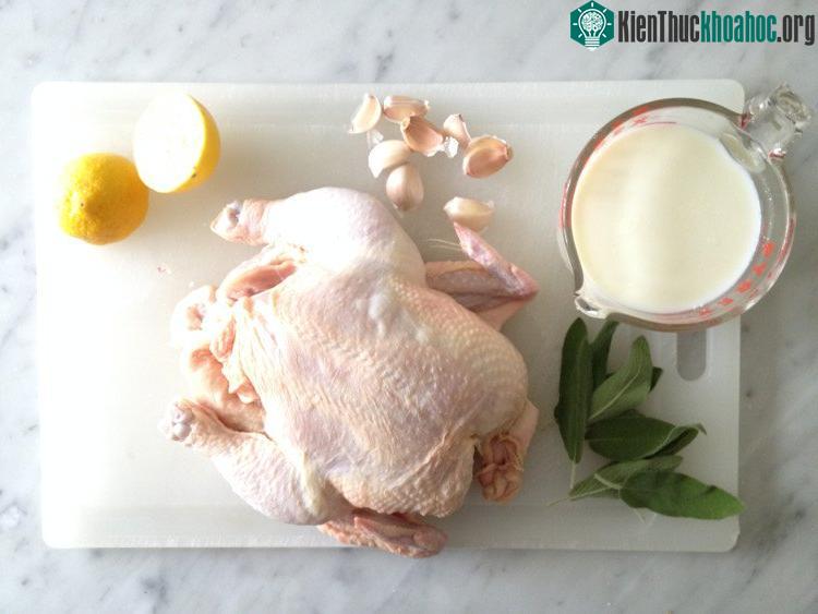 Không nên ăn kết hợp thịt gà với sữa.