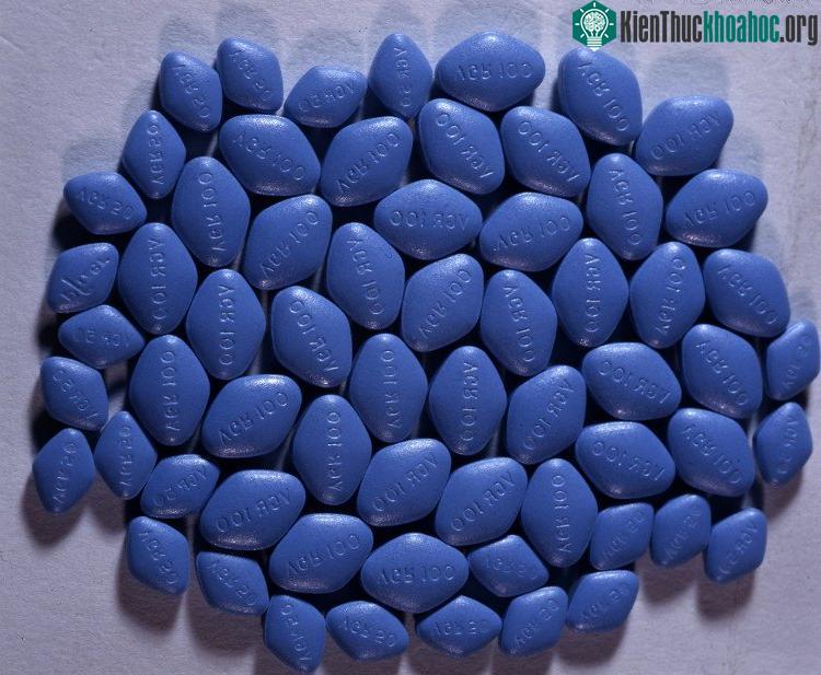 Viagra bị buôn lậu khắp nơi ở các nước khác với giá cao gấp nhiều lần so với giá gốc.