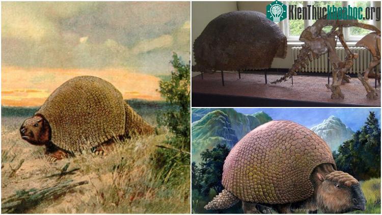 Loài Glyptodon. (Nguồn: Thevintagenews.com).