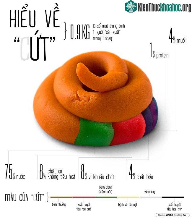Tổng hợp những sự thật thú vị có thể bạn chưa biết!