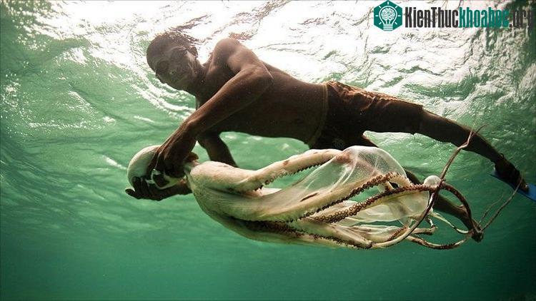 Người Bajau có thể lặn tự do rất sâu. (Ảnh: James Morgan).