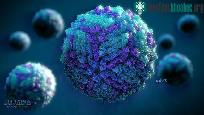Cryo-EM: Công nghệ cách mạng giúp con người lần đầu tiên chụp được ảnh virus.