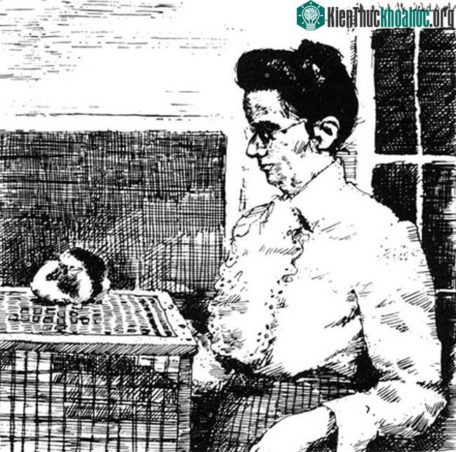Bức vẽ bà Abbie E.C. Lathrop tại Granby, đề ngày 5 tháng 10 năm 1913.
