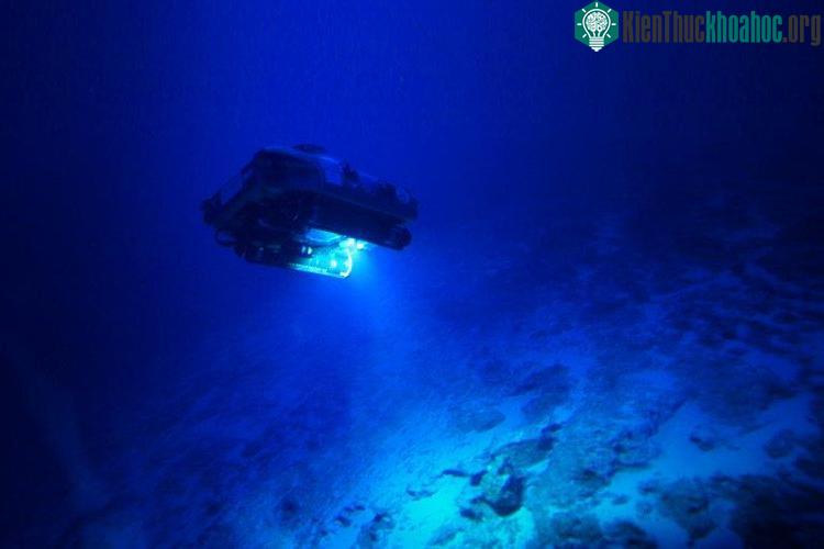 Thiết bị chuyên dụng thăm dò đại dương của Nekton.