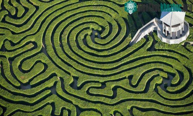 Mê cung tại Longleat House, Wiltshire - (Ảnh minh họa: JASON HAWKES).