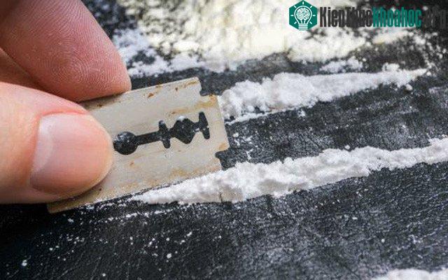 Con chip này hiện có thể phát hiện ra các vật chất bên trong các mẫu máu, hơi thở, nước tiểu... (Ảnh minh họa).