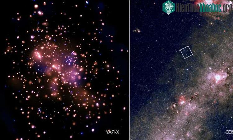 Hình ảnh tia X của NGC 6231 cho thấy một cận cảnh của khu vực bên trong của cụm sao. (Nguồn ảnh: Phys).