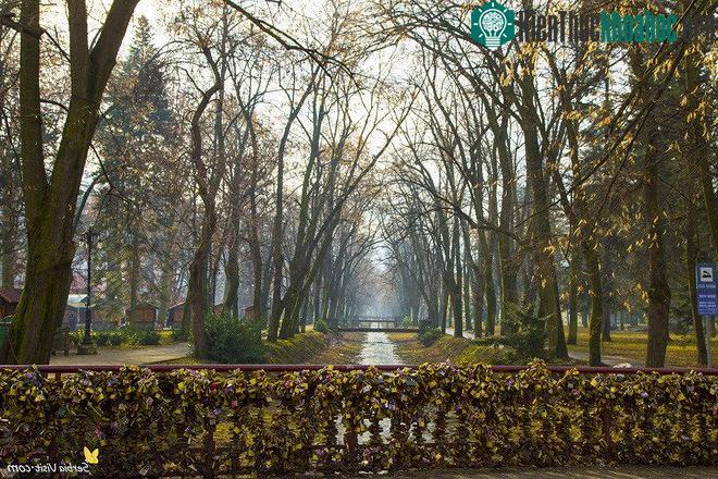 Cầu Most Ljubavi tại Serbia - nơi bắt nguồn của câu chuyện ổ khóa tình yêu.