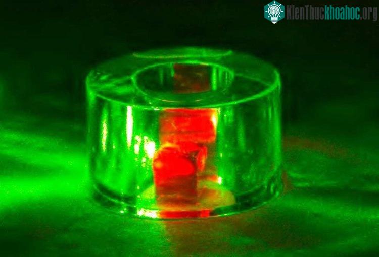Maser được chiếu sáng bởi ánh sáng laser xanh. (Ảnh: ICL).
